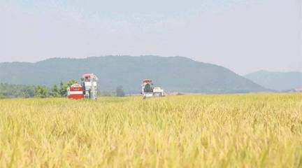 政策東風至，農機企業迎轉機 聚焦農業生產托管服務的六大戰略機遇